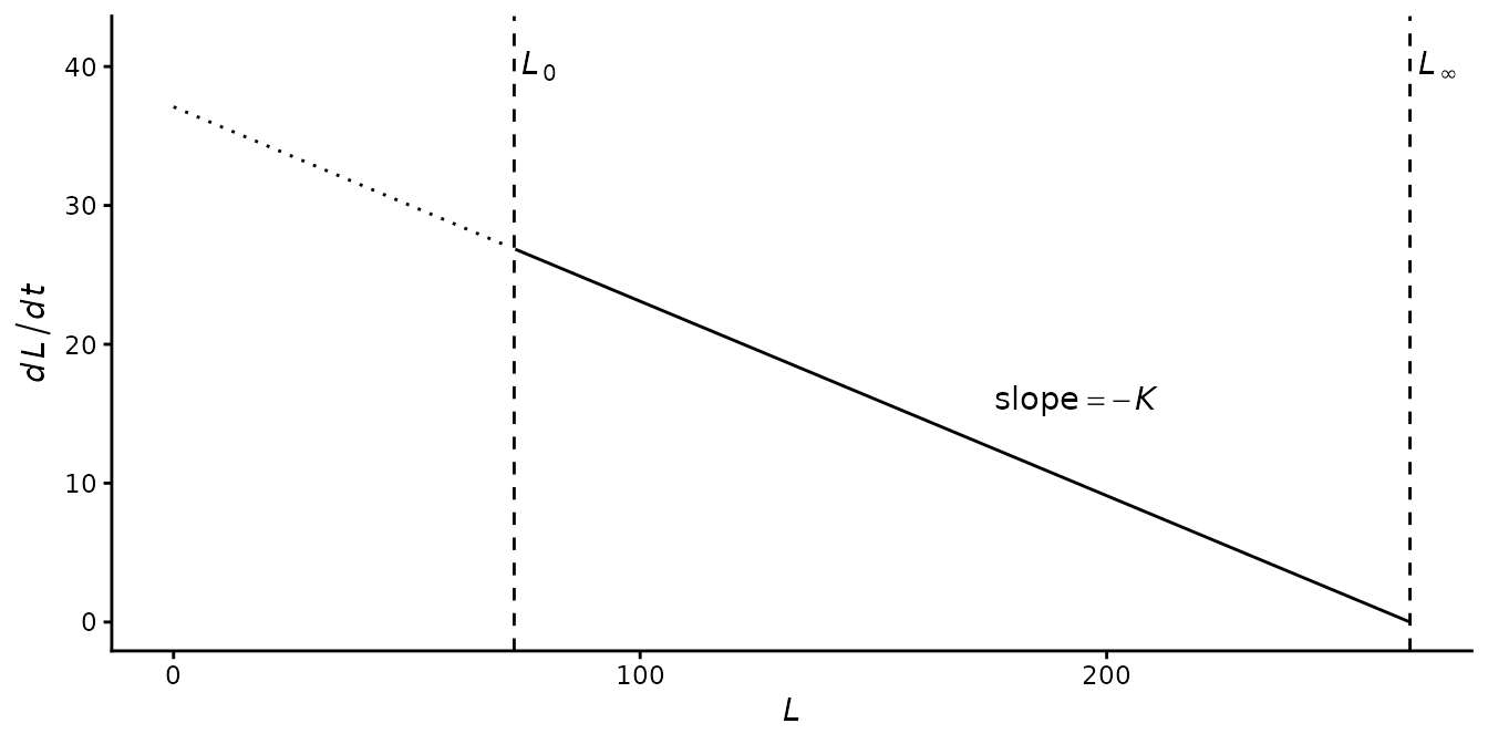 **Figure 1.** Growth rate, $dL/dt$, as a function of length, $L$, for values similar to those estimated for female blacktip sharks below ($L_0$ = 73 cm, $L_\infty$ = 265 cm, $K$ = 0.14). The dotted line extends the relationship below length at birth.